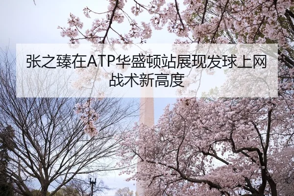 张之臻在ATP华盛顿站展现发球上网战术新高度