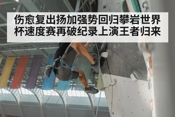 伤愈复出扬加强势回归攀岩世界杯速度赛再破纪录上演王者归来